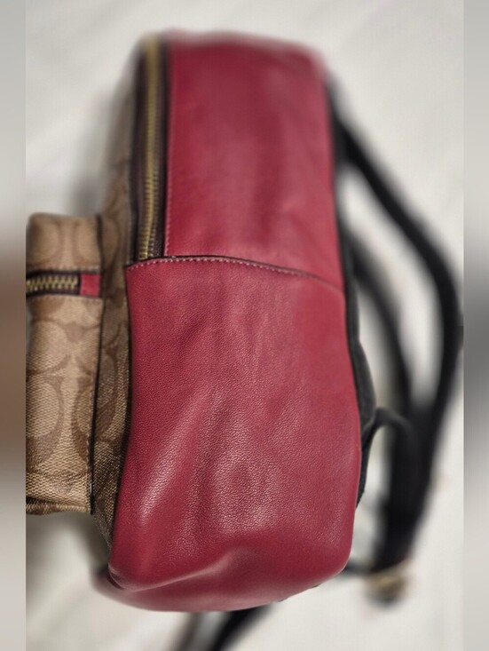 COACH Medium Charlie Backpack In Signature Canvas With Graffiti main image 14